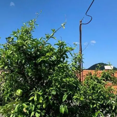 Apartman 2 - Double With Shared Bathroom 1 - 2 *