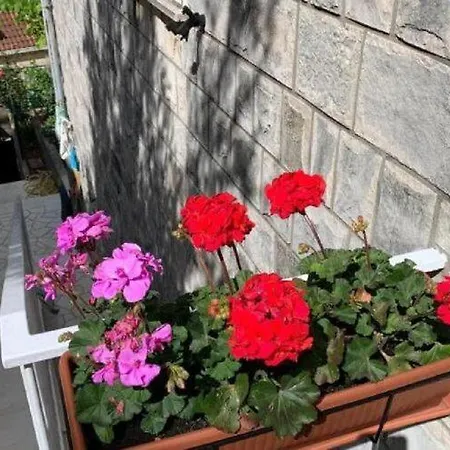 2 - Double With Shared Bathroom 1 - 2 Apartman Dubrovnik