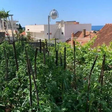 Apartment 2 - Double With Shared Bathroom 1 - 2 Dubrovnik